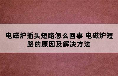 电磁炉插头短路怎么回事 电磁炉短路的原因及解决方法